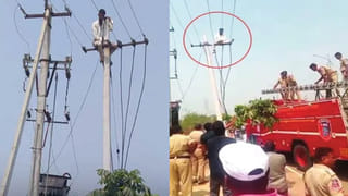 Special Holiday: మహిళా ఉద్యోగులకు గుడ్‌న్యూస్‌.. అందరికీ సెలవు ప్రకటించిన రాష్ట్ర సర్కార్