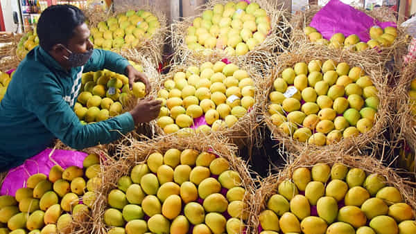 Mango: సహజంగా పండిన మామిడిని ఎలా గుర్తించాలో తెలుసా? రసాయనాలకు ఇలా దూరంగా ఉండండి.
