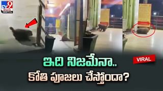 Digital TOP 9 NEWS: దుప్పటిలో నాగుపాము.. | నా భార్యను దోమలుకుడుతున్నాయ్‌.. పోలీసులకు వ్యక్తి ట్వీట్‌.