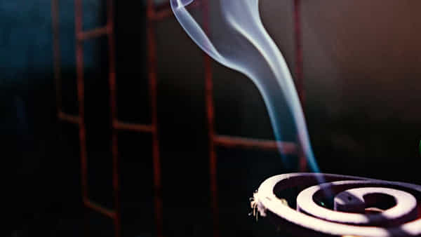Mosquito coil: మస్కిటో కాయిల్ పొగ పీల్చి.. ఒకే కుటుంబానికి చెందిన ఆరుగురు మృతి