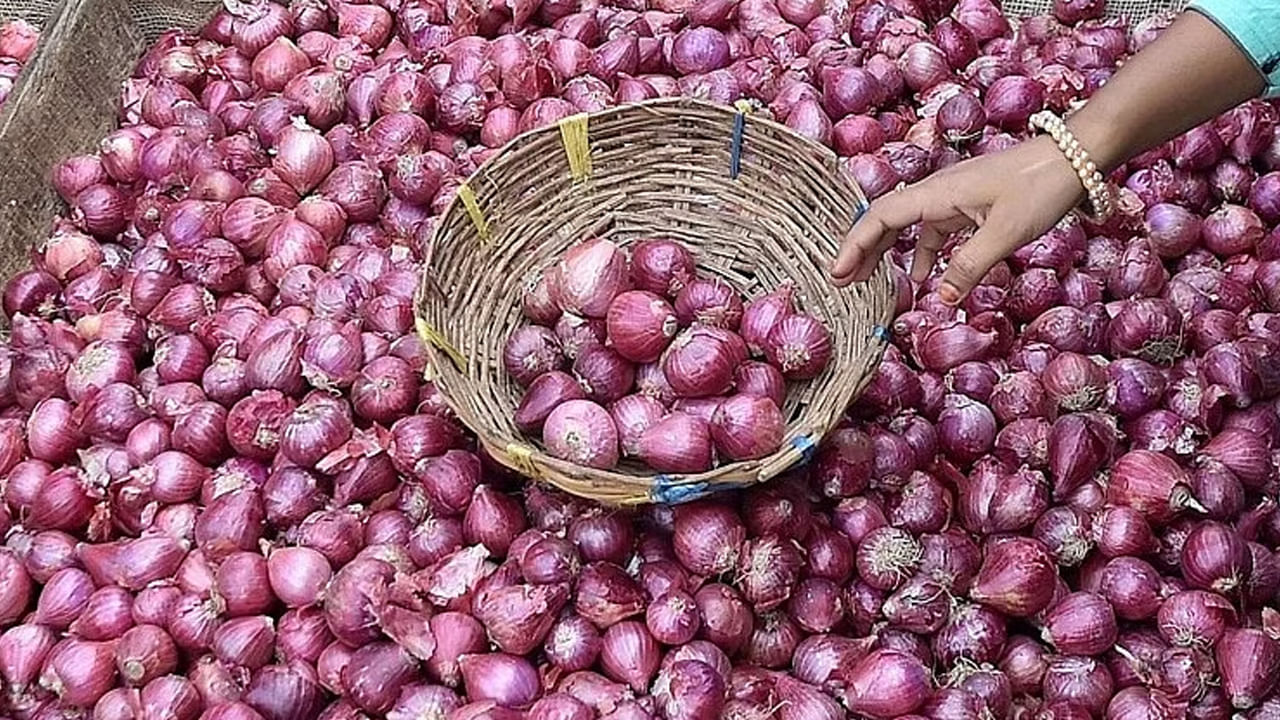 Onion Price: అక్కడ మార్కెట్ లో కేజీ ఉల్లి రూపాయి నాలుగు పైసలే.. కన్నీరు పెడుతున్న ఉల్లిరైతు