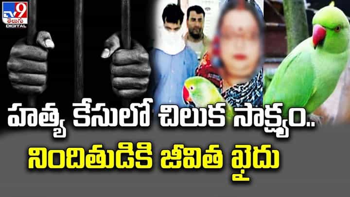 హత్య కేసులో చిలుక సాక్ష్యం !! నిందితుడికి జీవిత ఖైదు !! హత్య కేసులో చిలుక సాక్ష్యం !! నిందితుడికి జీవిత ఖైదు !!