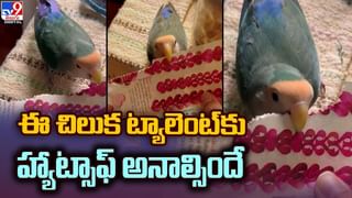 బాలింతను ఆడవిలో వదిలేసిన ప్రియుడు !! ఎక్కడ జరిగిందంటే ??