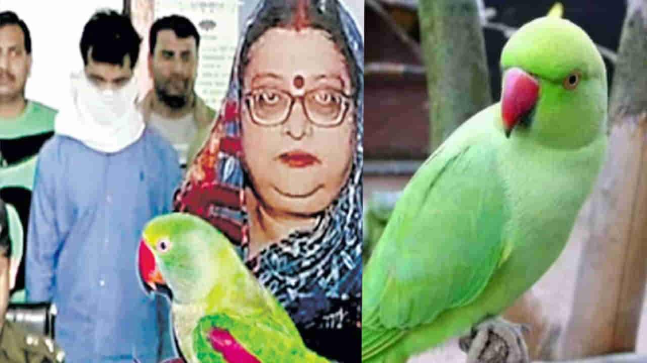 Parrots Testimony: విశ్వాసం అంటే ఈ చిలుకదే.. యజమానురాలిని హత్య చేసిన నిందితుడిని పట్టించి.. మరణించిన చిలుక.. 9 ఏళ్ల తర్వాత జైలు శిక్ష..