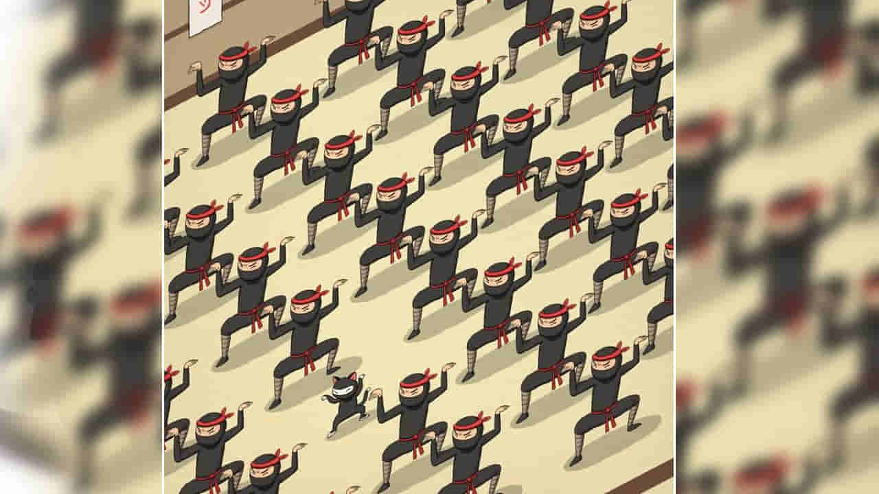 Photo Puzzle: దమ్ముంటే కనుక్కోండంటున్న పిల్లి.. జస్ట్ 5 సెకన్లు.. గుర్తిస్తే మీరే తోపు..