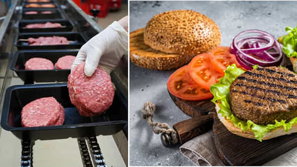 Plant Based Meat: దుబాయ్లో ప్రారంభమైన 100 శాతం మొక్కల ఆధారిత మాంసం ఫ్యాక్టరీ.. ఎలా చేస్తారంటే..