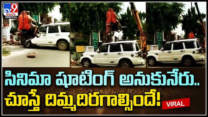 Pre-wedding shoot: పెళ్లి కోసం అంత రస్క్ అవసరమా..! సినిమా షూటింగ్ అనుకునేరు.. Pre-wedding shoot: పెళ్లి కోసం అంత రస్క్ అవసరమా..! సినిమా షూటింగ్ అనుకునేరు..