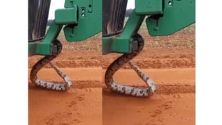 Viral Video: పెళ్లి వేడుకలో చిన్నారి బాలిక డ్యాన్స్..ప్రొఫెషనల్ డ్యాన్సర్లు కూడా ఇలా చేయలేడంటున్న నెటిజన్లు