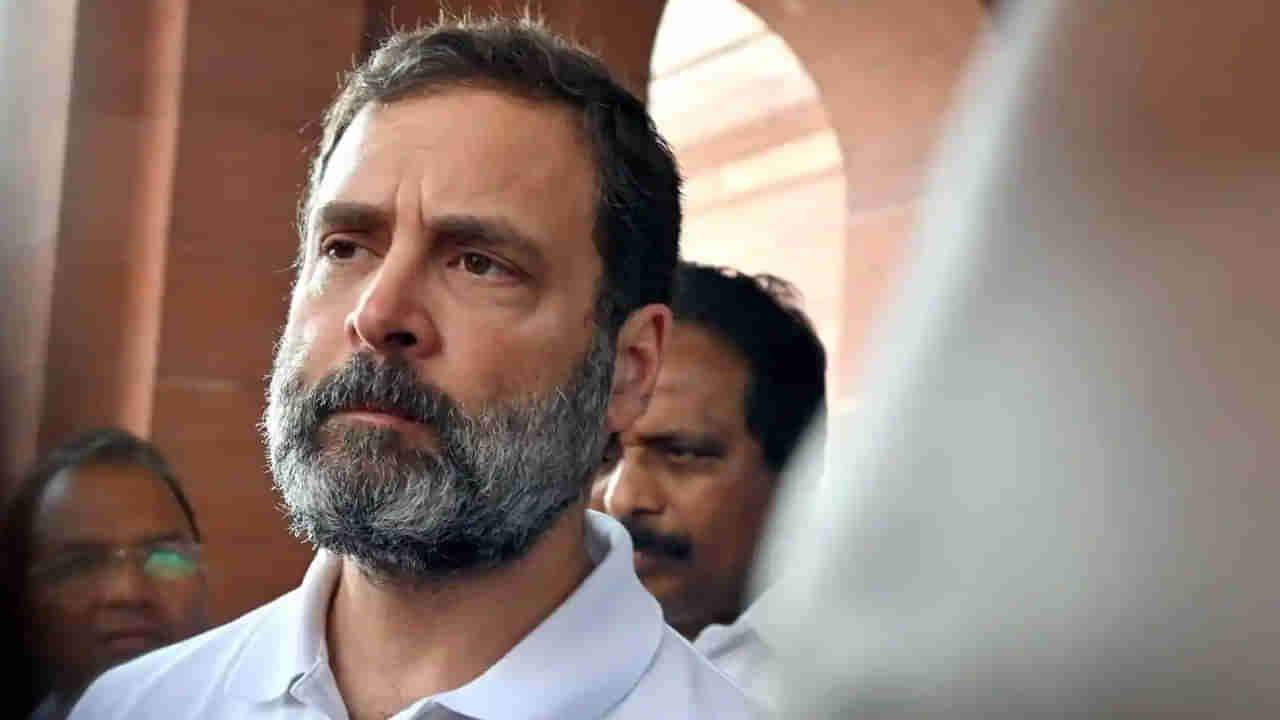Rahul Gandhi: ఆ అమ్మాయి ఎవరో చెప్పండి.. వివరాల కోసం రాహుల్ గాంధీ నివాసంలో చేరుకున్న ఢిల్లీ స్పెషల్ బ్రాంచ్ పోలీసుల..