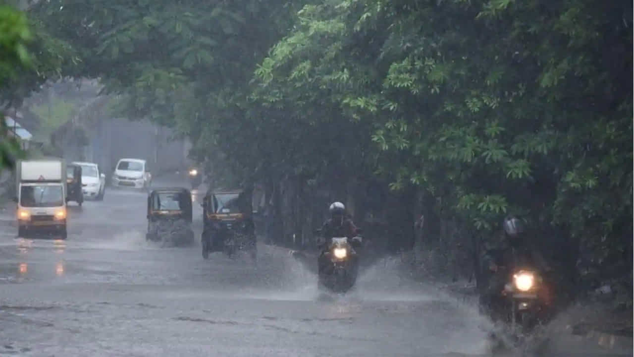 కొన్ని చోట్ల చెట్లు కూలిపోయి విద్యుత్ సరఫరా నిలిచిపోయింది. దీంతో పలు లోతట్టు ప్రాంతాలు నీట మునడంతో రోడ్లపై మోకాళ్లలోతు నీళ్లు చేరి వాహనదారులు తీవ్ర ఇబ్బంది పడ్డారు. నాలాల వెంబడి వరద నీరు ఉధృతంగా ప్రవహించింది. ఎక్కడ గుంతలు ఉన్నాయో, మ్యాన్ హోల్స్ ఉన్నాయో తెలియక జనం ఆందోళనకు లోనయ్యారు. అత్యధికంగా శేరిలింగంపల్లి ఖాజాగూడలో 6.3 సెంటీమీటర్ల వర్షపాతం నమోదైంది. ఆ తర్వాత షేక్పేటలో 5.2 సెంటీమీటర్లు, జూబ్లీహిల్స్లో 4.6 సెంటీమీటర్లు, మాదాపూర్లో 4.5 సెంటీమీటర్లు, సింగిరేణికాలనీలో 4.1 సెంటీమీటర్లు, అమీర్పేటలో 4.0 సెంటీమీటర్లు, ఎంసీఆర్హెచ్ఆర్డీలో 3.8 సెంటీమీటర్ల వర్షపాతం నమోదైంది.