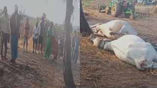 Good News: గ్రామీణ పేదరిక నిర్మూలన సంస్థ ఉద్యోగులకు ఉగాది కానుక..  కొత్త వేతన విధానం అమలుకు ఉత్తర్వులు..