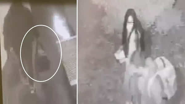 Viral: అట్టాంటి.. ఇట్టాంటి దొంగతనం కాదు.. రెస్టారెంట్కి వెళ్లి మీల్స్ ఆర్డర్ ఇచ్చారు.. సీన్ కట్ చేస్తే..