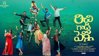 Gopichand Malineni: గోపీచంద్ మలినేని నెక్స్ట్ సినిమా ఆ స్టార్ హీరోతోనేనా..?