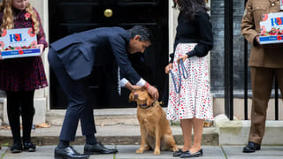 Pollution: అత్యంత కాలుష్య దేశాల నివేదికను ప్రకటించిన స్విట్జర్లాండ్ కి చెందిన సంస్థ, భారత్ ర్యాంక్ ఎంతంటే..