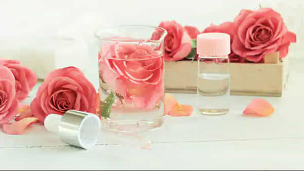 Rose Water: అందానికే కాదు, ఆరోగ్యానికి కూడా.. ముఖ్యంగా ఈ సమస్యలకు ఇది చక్కటి పరిష్కారం..!