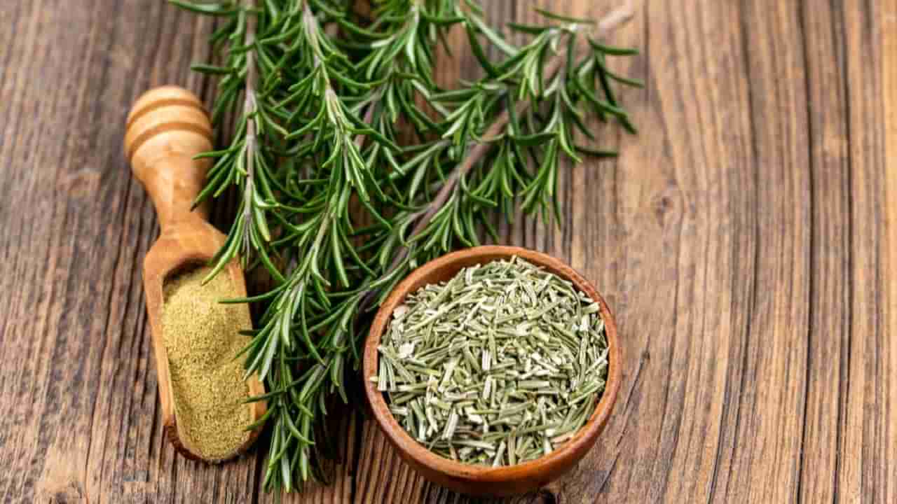 Ayurvedic herb: ఈ ఒక్క ఆయుర్వేద మూలికతో అనేక ఆరోగ్య ప్రయోజనాలు అవేంటో తెలిస్తే నోరెళ్లబెడతారు