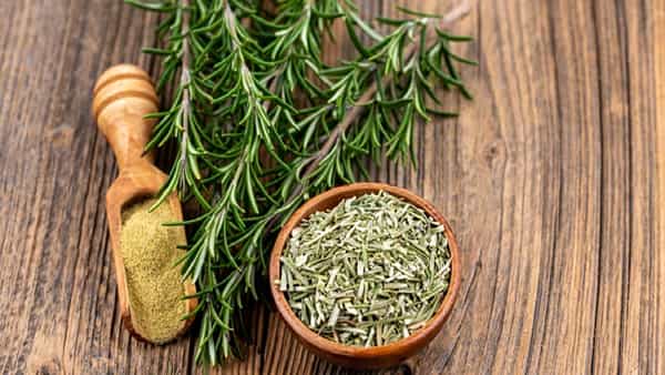 Ayurvedic herb: ఈ ఒక్క ఆయుర్వేద మూలికతో అనేక ఆరోగ్య ప్రయోజనాలు అవేంటో తెలిస్తే నోరెళ్లబెడతారు