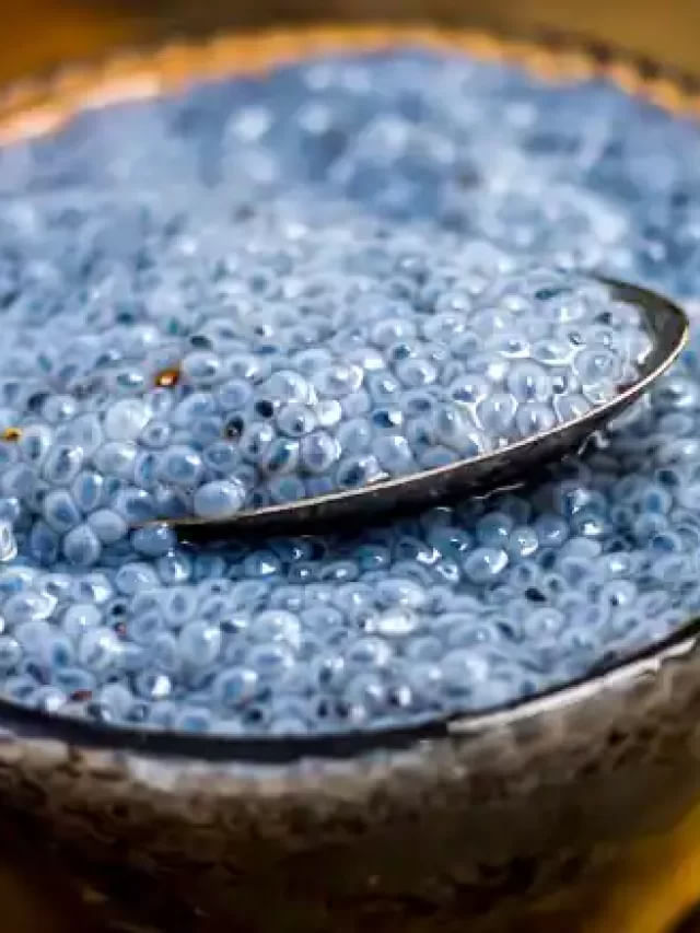 వేసవిలో సబ్జా గింజలతో కలిగే ప్రయోజనాలివే.. TV9 Telugu Health