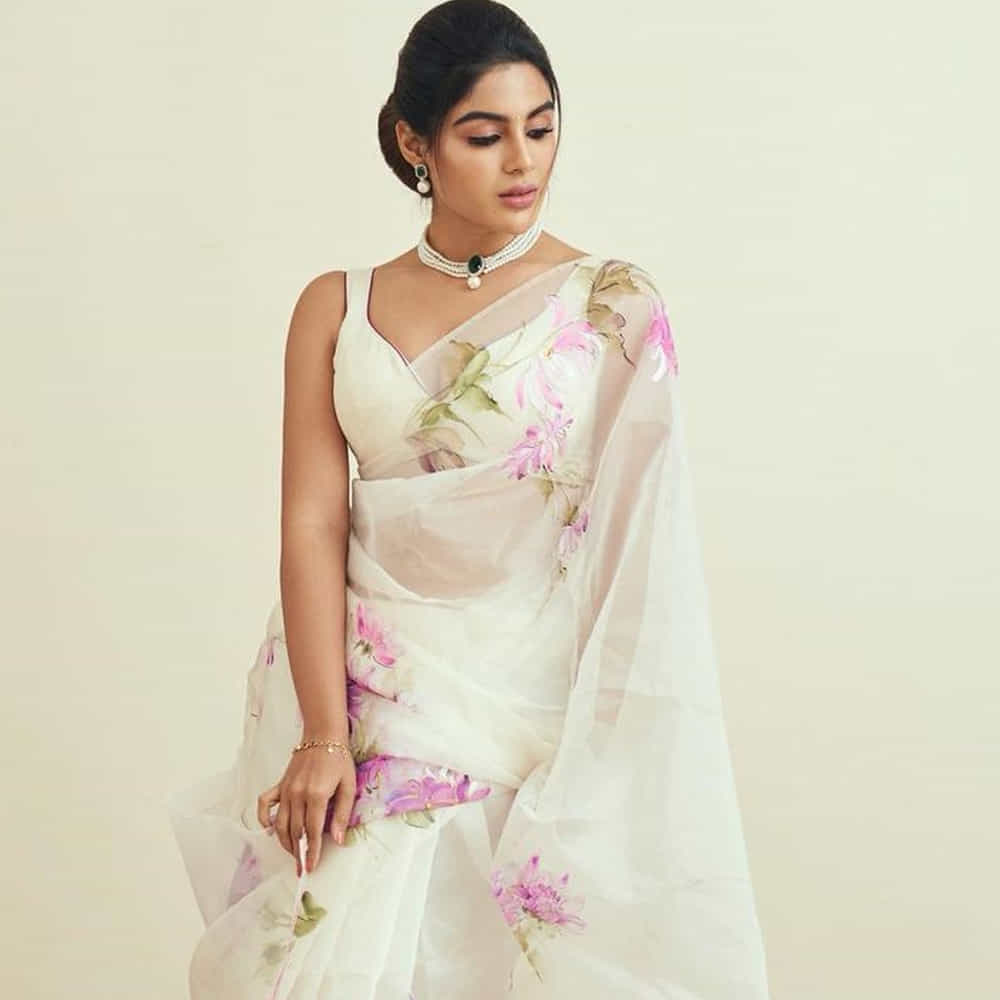 భీమ్లా నాయక్ సినిమాతో తెలుగు తెరకు పరిచయమైంది సంయుక్త. తొలి చిత్రంతోనే సూపర్ హిట్ అందుకుంది. ఆ తర్వాత నందమూరి హీరో కళ్యాణ్ రామ్ సరసన బింబిసార చిత్రంలో నటించి మరో హిట్ ఖాతాలో వేసుకుంది.