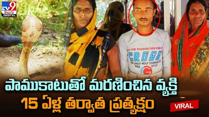 పాముకాటుతో మరణించిన వ్యక్తి 15 తర్వాత ప్రత్యక్షం పాముకాటుతో మరణించిన వ్యక్తి 15 తర్వాత ప్రత్యక్షం