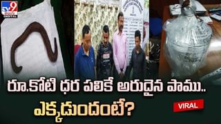 మూడేళ్లుగా ‛లాక్‌డౌన్’లో తల్లీ కొడుకులు.. భర్తను రానివ్వకుండా !!