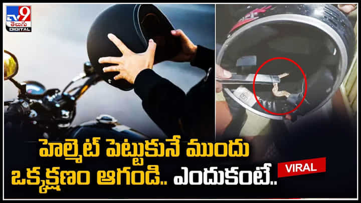 Strange noises: హెల్మెట్ పెట్టుకునే ముందు ఒక్కక్షణం ఆగండి.. ఎందుకంటే..? Strange noises: హెల్మెట్ పెట్టుకునే ముందు ఒక్కక్షణం ఆగండి.. ఎందుకంటే..?