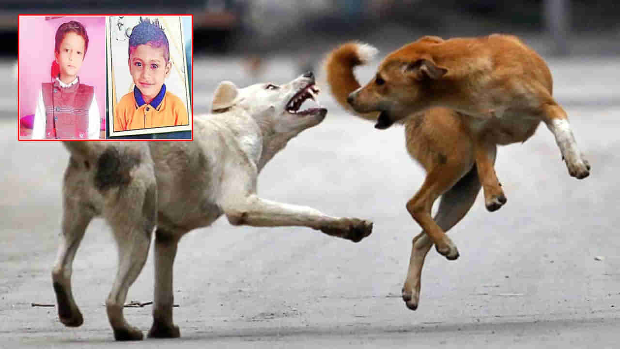 Dog Attack: మళ్లీ అదే ఘోరం.. ఒకే కుటుంబానికి చెందిన ఇద్దరు చిన్నారుల్ని చంపిన వీధి కుక్కలు