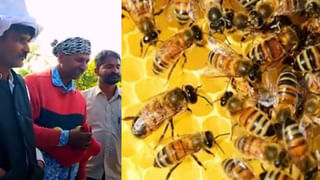 Success Tips: వారెన్‌ బఫెట్‌ విజయ రహస్యం ఇదే! అలవాట్లు, అభిరుచులకు అంత శక్తి ఉందా?