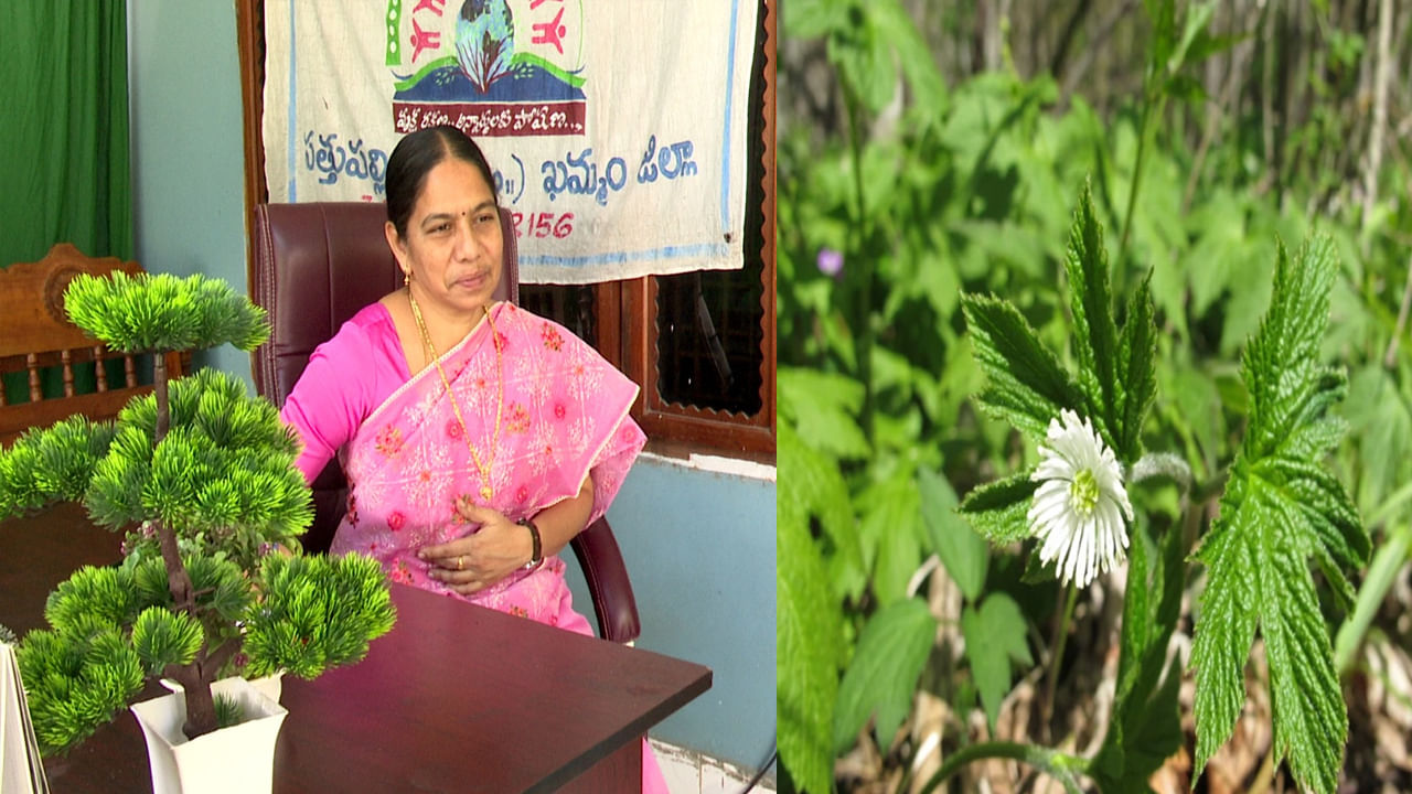 Inspiring Story: నయం కాని కేన్సర్ వంటి రోగాలకు చికిత్స.. ఇంటినే ఔషధ ...