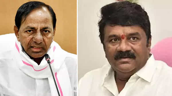 Talasani Srinivas Yadav: మల్లన్న స్వరూపం సీఎం కేసీఆర్.. మంత్రి తలసాని పొగడ్తల వర్షం..