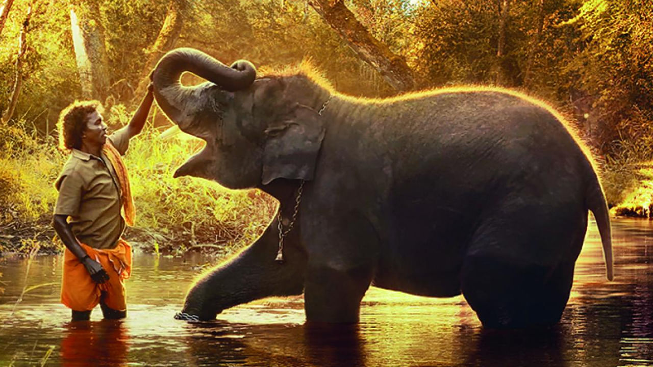 The Elephant Whisperers: ఆస్కార్ వేదికపై చరిత్ర సృష్టించిన 'ది ఎలిఫెంట్ విస్పరర్స్'.. ఎక్కడ స్ట్రీమింగ్ అవుతుందో తెలుసా ? ..
