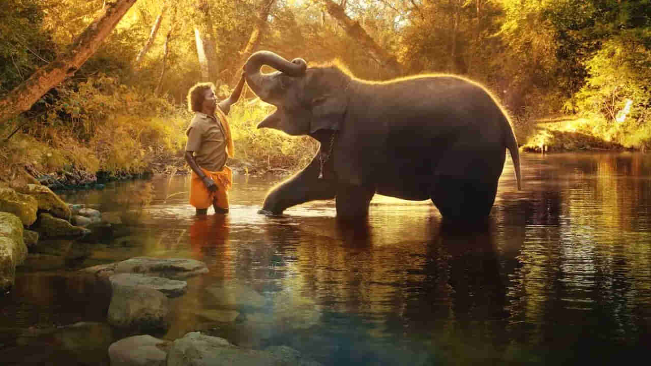 The Elephant Whisperers: బెస్ట్ డాక్యుమెంటరీ షార్ట్ ఫిలింగా ఆస్కార్ అందుకున్న ది ఎలిఫెంట్ విస్పరర్స్