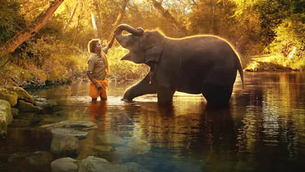 The Elephant Whisperers: బెస్ట్ డాక్యుమెంటరీ షార్ట్ ఫిలింగా ఆస్కార్ అందుకున్న ది ఎలిఫెంట్ విస్పరర్స్