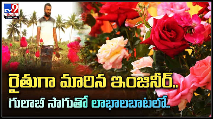 Engineer to Farmer: ఇంజినీర్ గా ఉద్యోగం వదిలి పొలం బాటపట్టిన యువకుడు.. లాభాలబాటలో.. Engineer to Farmer: ఇంజినీర్ గా ఉద్యోగం వదిలి పొలం బాటపట్టిన యువకుడు.. లాభాలబాటలో..