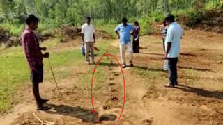 Andhra Pradesh: దారి తప్పి ఊర్లోకి వచ్చిన జింక.. చుట్టుముట్టిన వీధి కుక్కలు.. చివరకు