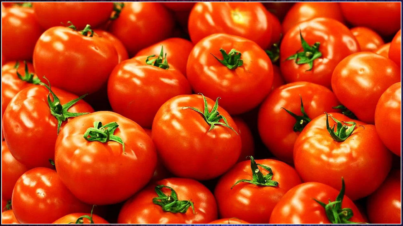 Tomatoes Benefits: వేసవిలో వేడికి చెక్ పెట్టాలంటే టమాటా తినాల్సిందే.. ఇంకా ఉదయాన్నే తింటే అద్దిరిపోయే 6 ప్రయోజనాలివే..