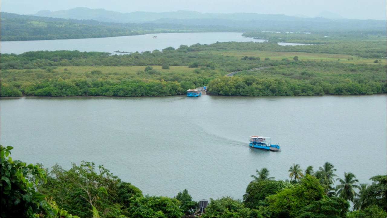 Divar Island: దివార్ ఐలాండ్ సరదాగా కాలక్షేప నడకకు ప్రసిద్ధి. ఇక్కడ వాతావరణం మీకు సందడే సందడి అన్న మాదిరిగా కొన్ని అద్భుత క్షణాలను గడపడానికి సానుకూలంగా ఉంటుంది. ఈ ప్రదేశానికి మీరు మీ భాగస్వామితో లేదా పూర్తి కుటుంబంతో సందర్శించవచ్చు. 