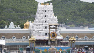 Tirumala: తిరుమల ఘాట్‌ రోడ్డులో ఏనుగుల గుంపు హల్‌ చల్‌.. వణికిపోయిన శ్రీవారి భక్తులు