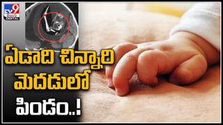 Viral Video: పెళ్ళికి గాడిద బండిపై ఎంట్రీ ఇచ్చిన  పాకిస్థానీ వధూవరులు.. డ్రామా అవసరమా అంటున్న నెటిజన్లు