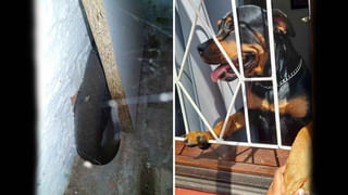 Viral: మితిమీరిన సెక్స్ ఫాంటసీ.. అజ్ఞాత వ్యక్తితో శృంగారం చేయబోతుండగా..