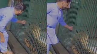 Find Number: కళ్లలో చురుకుదనం, పదునైన ఆలోచన మీ సొంతమా.. ఇందులో మిస్‌ అయిన నెంబర్‌ను కనిపెట్టండి చూద్దాం.