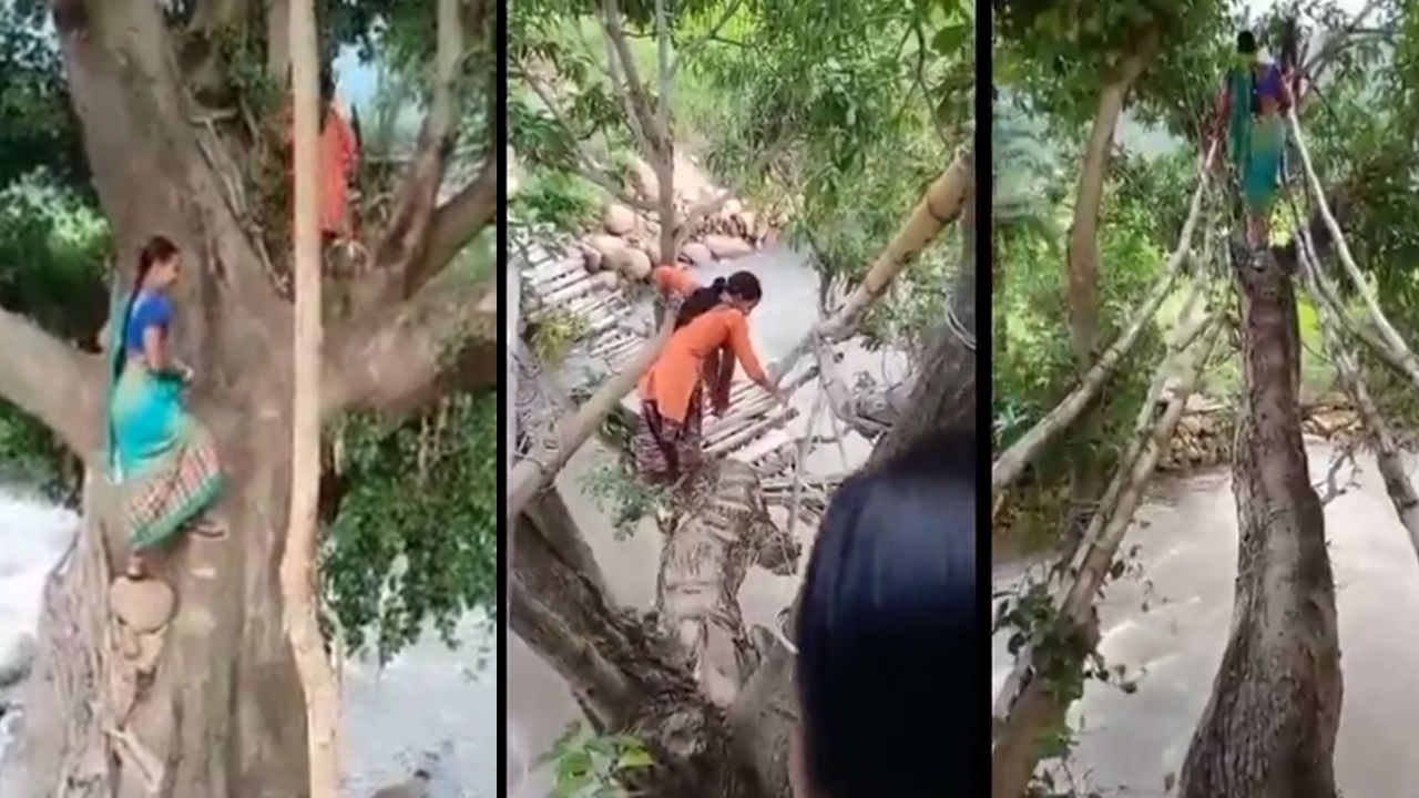 Viral Video: ఇలాంటి వంతెనను ఎప్పుడైనా చూశారా.. నది దాటాలంటే సాహసం చేయాల్సిందే..వీడియో చూస్తే వణకాల్సిందే