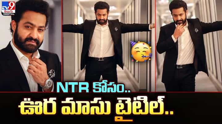Vishwak Sen: NTR కోసం.. దమ్కీ దాస్ ఊర మాసు టైటిల్ Vishwak Sen: NTR కోసం.. దమ్కీ దాస్ ఊర మాసు టైటిల్