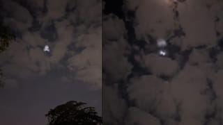 ప్రేమ ఎంత మధురం..! రెస్టారెంట్‌లో చిల్‌ అవుతోన్న వృద్ధ దంపతులు.. వీడియో చూస్తే ఫిదా అవ్వాల్సిందే..