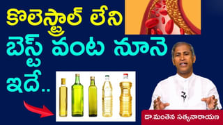 Gallbladder: పిత్తాశయం ఇన్ఫెక్షన్‌తో జాగ్రత్త.. ఈ వంటింటి చిట్కాలతో ఆసుపత్రి పాలు కాకుండా ఉంటారు..