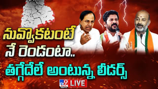 Telangana Rains: నిర్మల్ జిల్లా భైంసాలో వడగళ్ల వాన బీభత్సం.. (Watch Video)