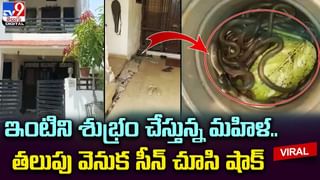 Watch Video: ఇద్దరు మగవాళ్లతో బ్రూస్‌లీ లా ఫైట్ చేసిన అమ్మాయి.. వైరలవుతున్న వీడియో