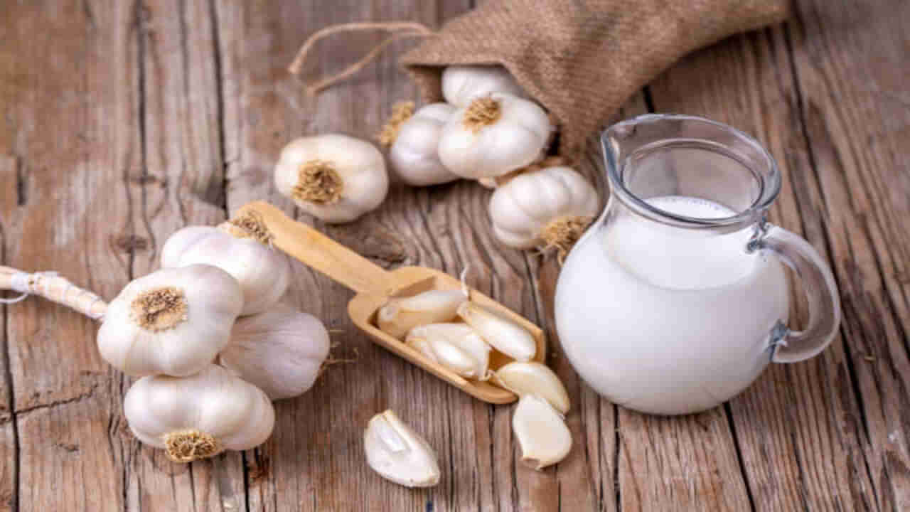 Garlic Benefits: పరగడుపునే వెల్లుల్లిని తింటే ఎన్ని ప్రయోజనాలో.. తెలిస్తే తినకుండా ఉండలేరు..