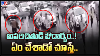 Alpaca Viral Video: ముద్దుగా ఉందని.. ముద్దు చేయబోయింది.. కట్‌చేస్తే.. ముఖం మీద ఊసింది.