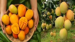 Success Story: కోర్టులోనే తండ్రి హత్య.. మోసగాడు అంటూ కుటుంబంపై నిందలు.. కూతురు DSPగా నియామకం..